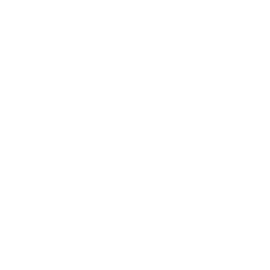 feature-item-4
