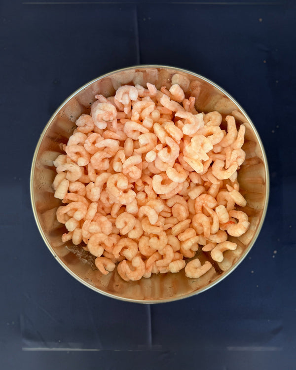Garnelenkönig Cocktailgarnelen 100/200 gekocht & geschält – 1-kg-Beutel, in der Edelstahlschüssel
