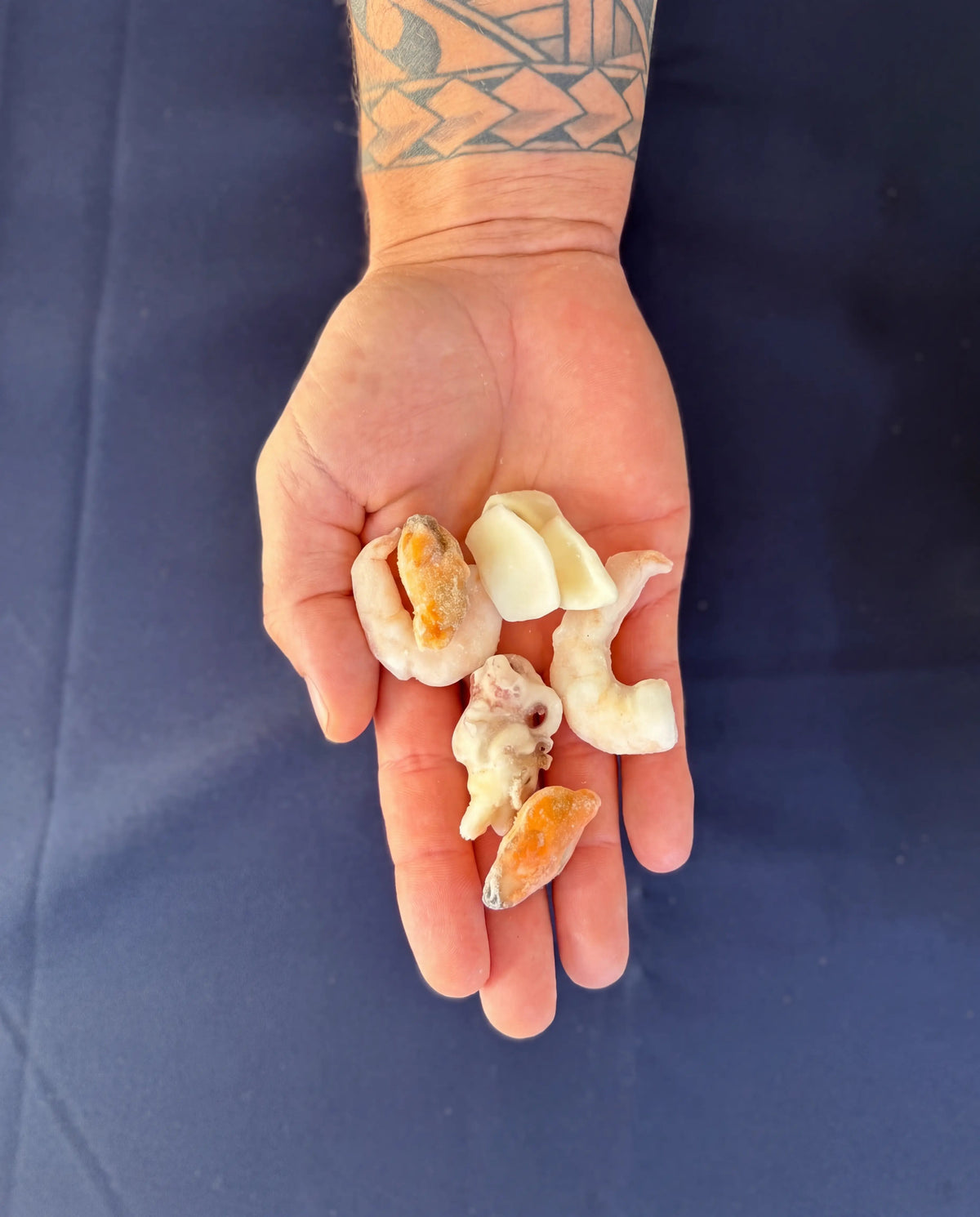 Garnelenkönig Seafood Mix Deluxe – Größenvergleich in der Hand